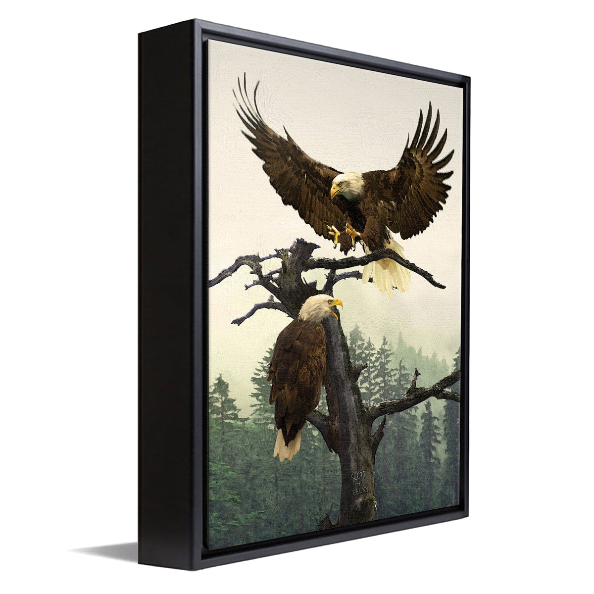 Personal-Prints art 12&quot;x16&quot; Float Framed Canvas Bald Eagle Couple