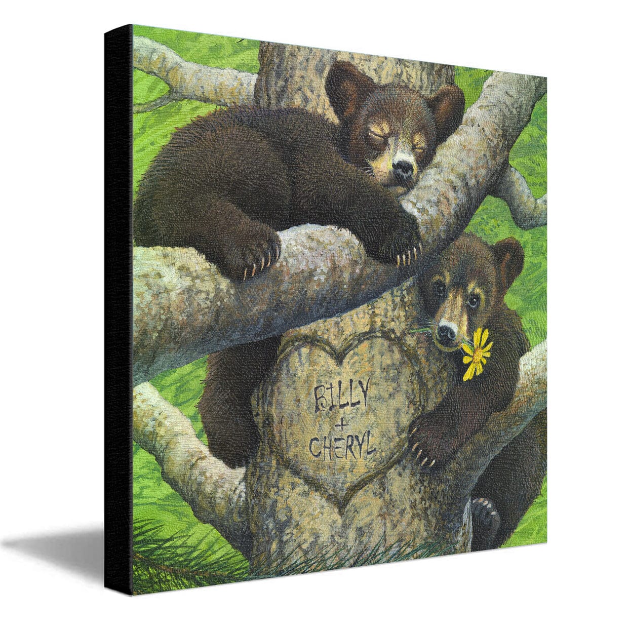 Personal-Prints art 14"x14" Stretched Canvas Bear Cubs 2