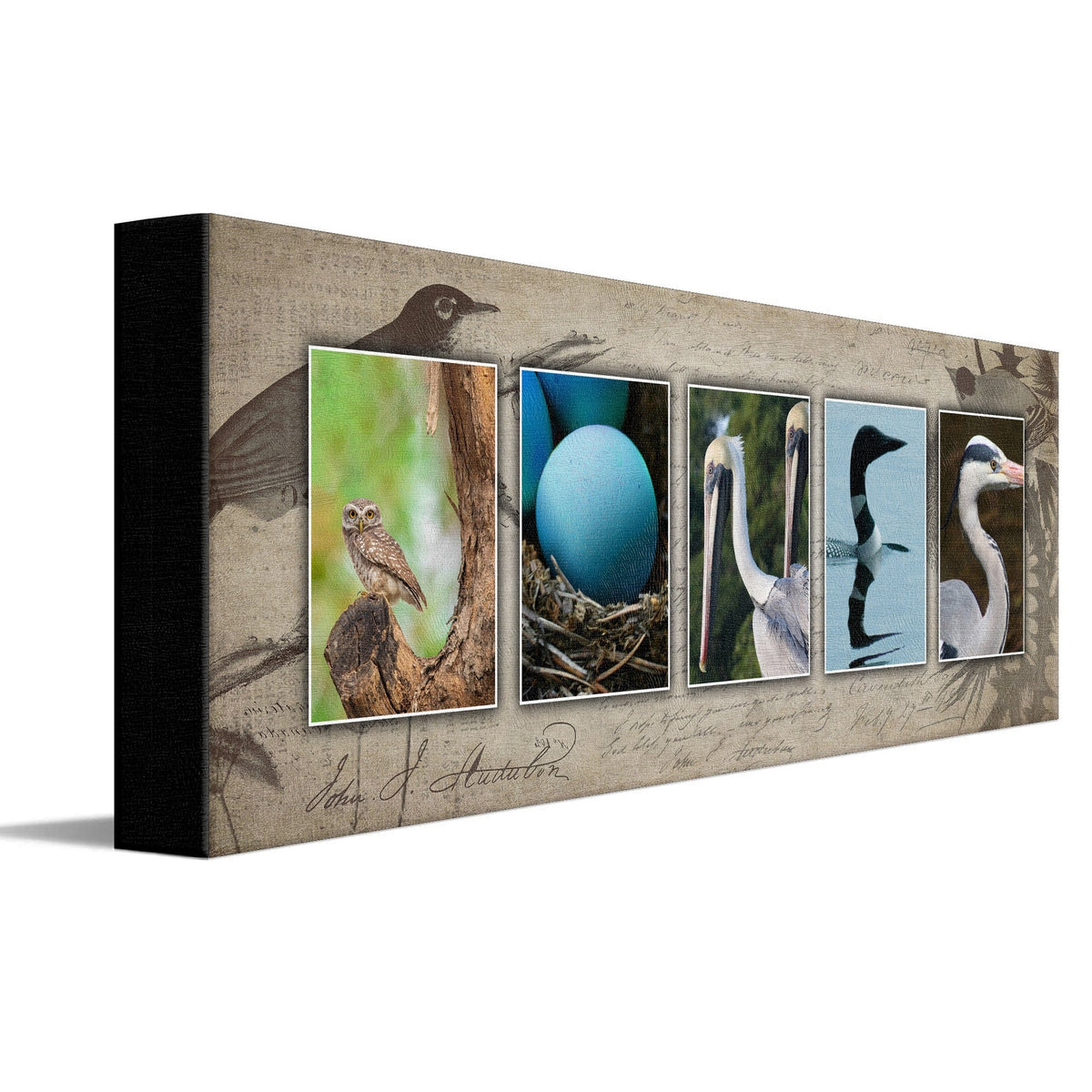 Personal-Prints art 6&quot;x18&quot; Stretched Canvas Bird Watching Name Art