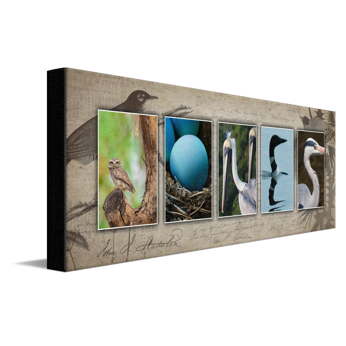 Personal-Prints art 10&quot;x30&quot; Stretched Canvas Bird Watching Name Art