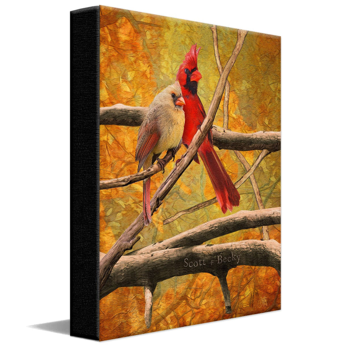 Personal-Prints art 11&quot;x14&quot; Stretched Canvas Birds of a Feather