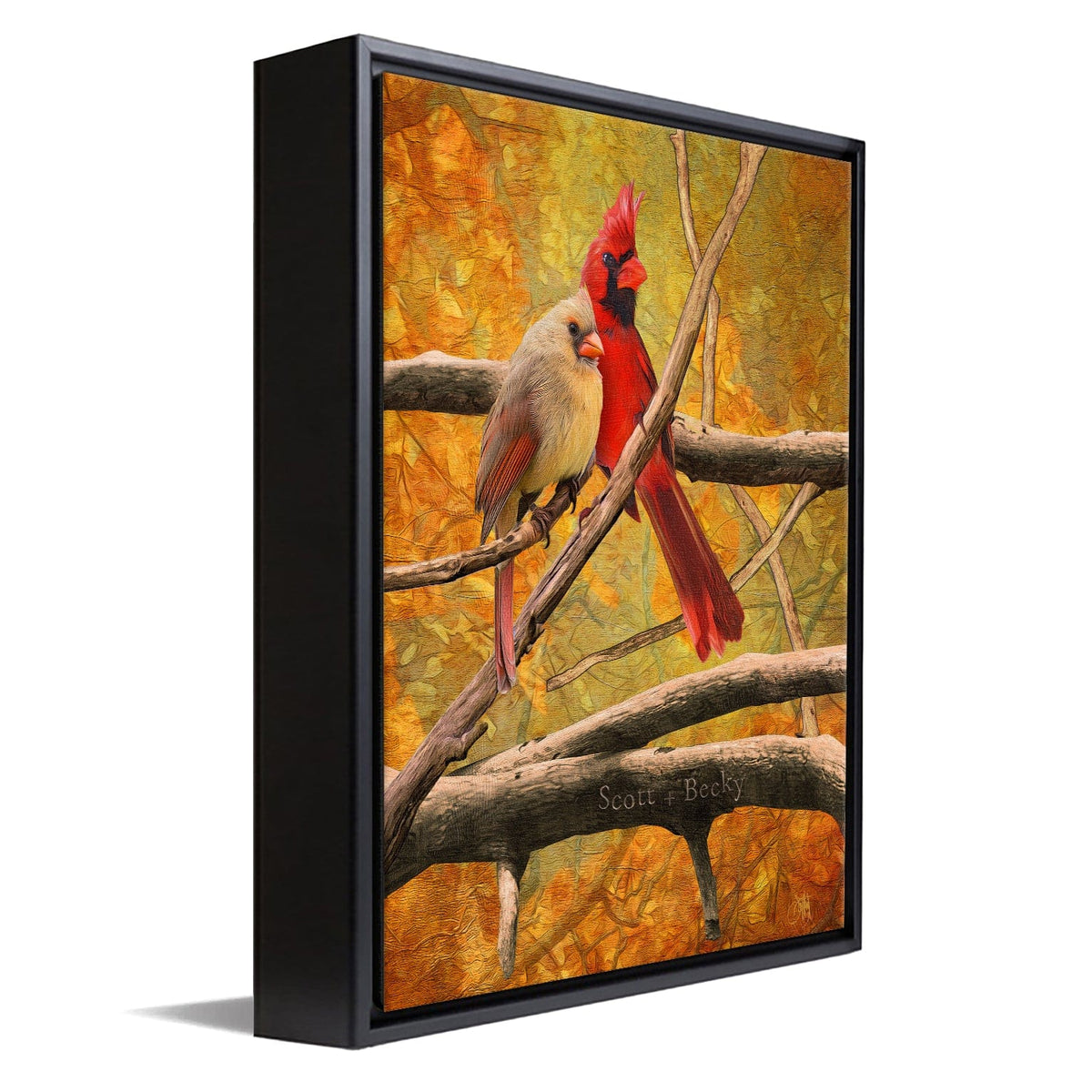 Personal-Prints art 12&quot;x16&quot; Float Framed Canvas Birds of a Feather