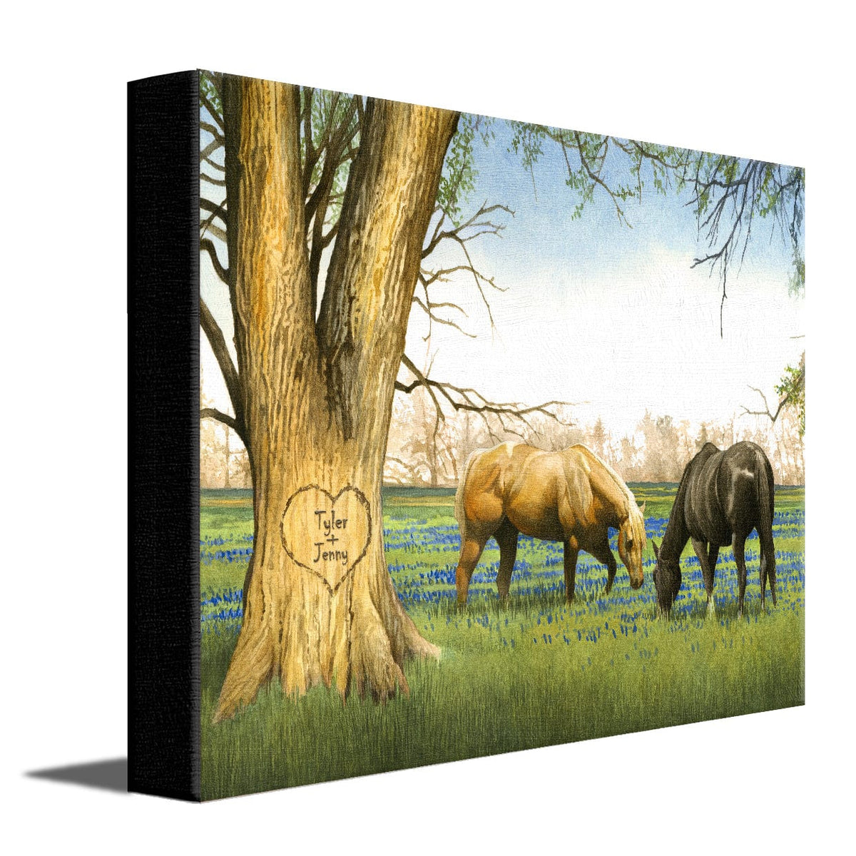 Personal-Prints art 11&quot;x14&quot; Stretched Canvas Bluebonnet Spring