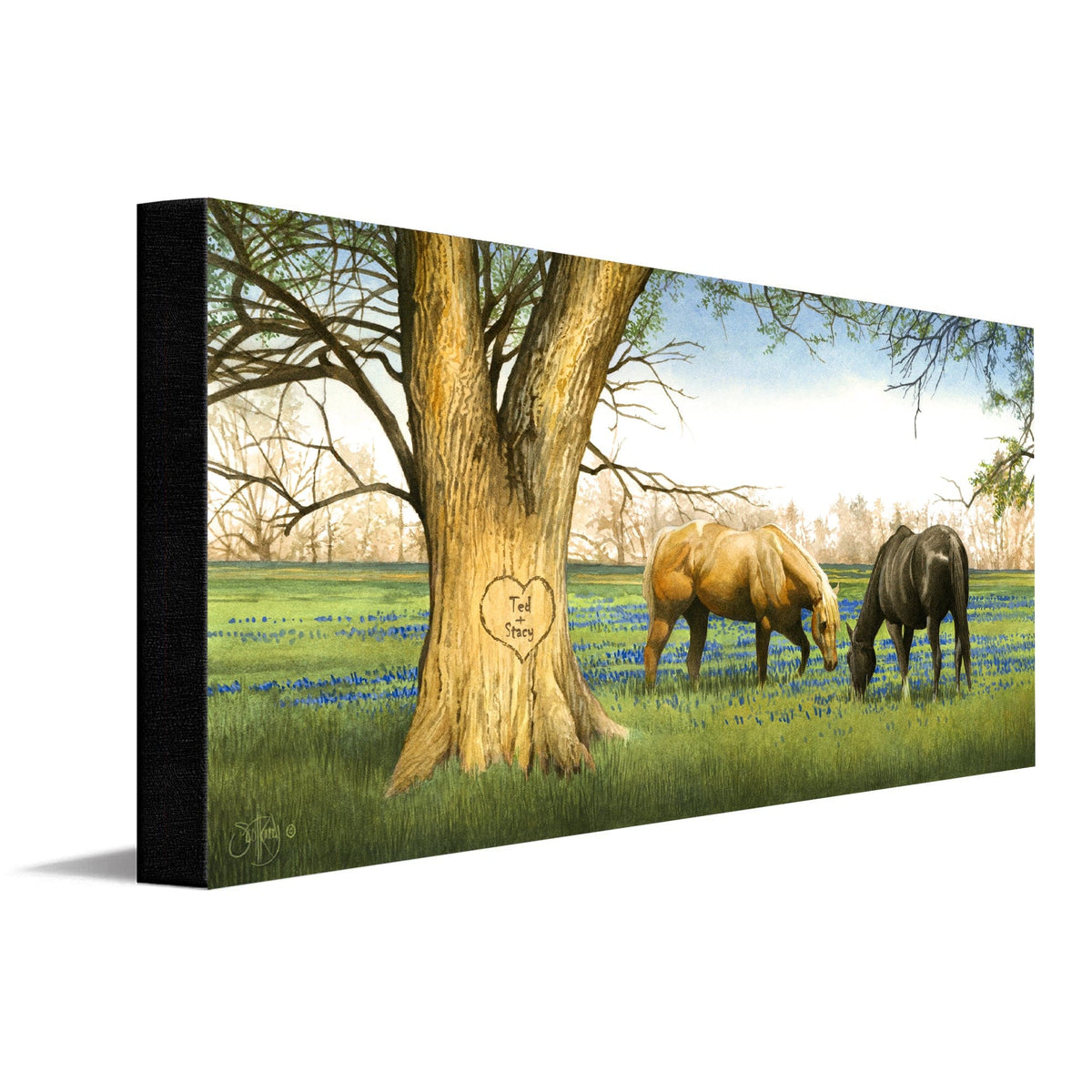 Personal-Prints art 16&quot;x32&quot; Stretched Canvas Bluebonnet Spring