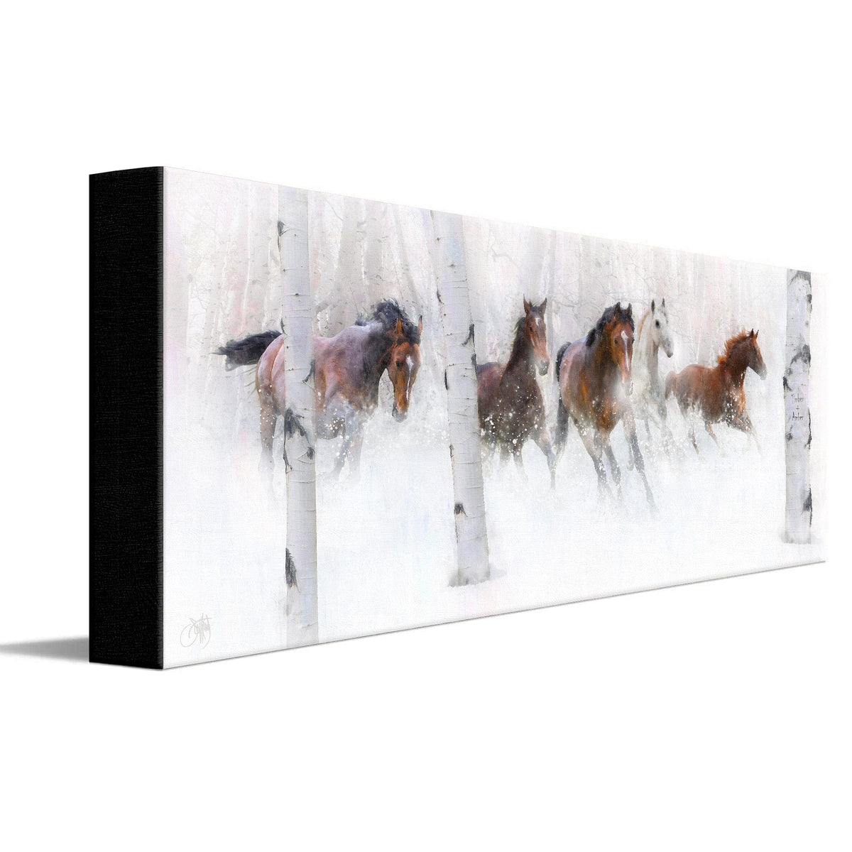 Personal-Prints art 6&quot;x18&quot; Stretched Canvas Dream Catchers
