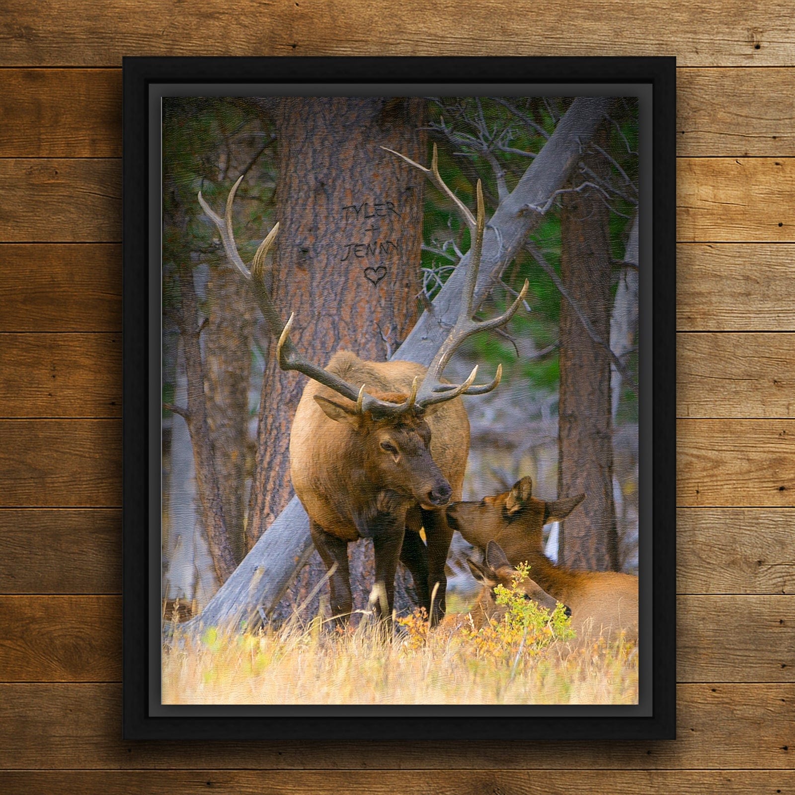 Personal-Prints art 20"x24" Float Framed Canvas Elk Couple