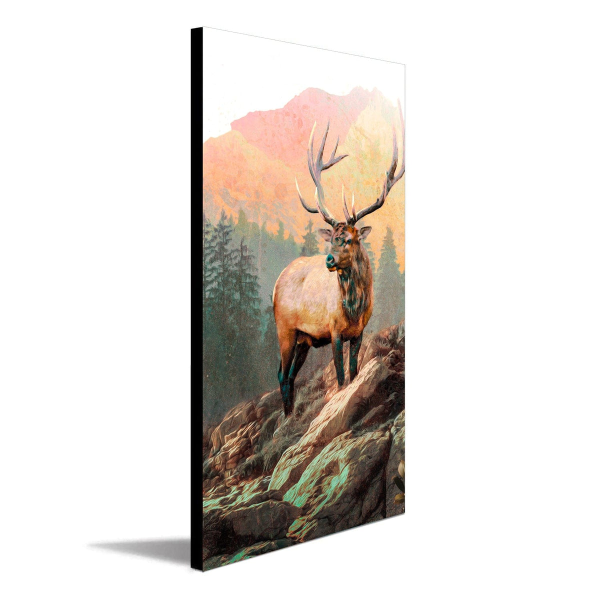 Personal-Prints art Block Mounts - 14&quot;x28&quot; panel King of the Mountain