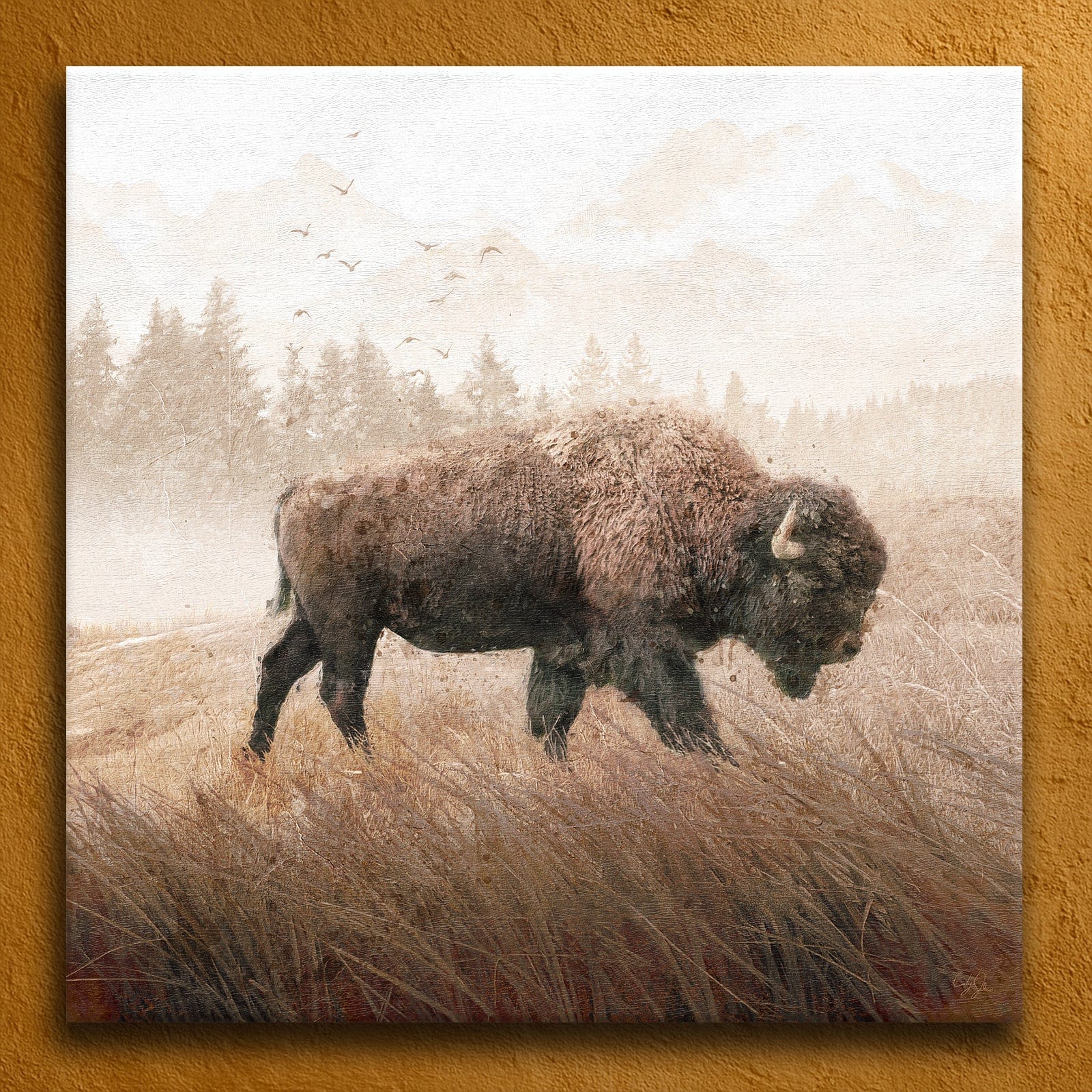 Personal-Prints art 24"x24" Stretched Canvas Lone Buffalo