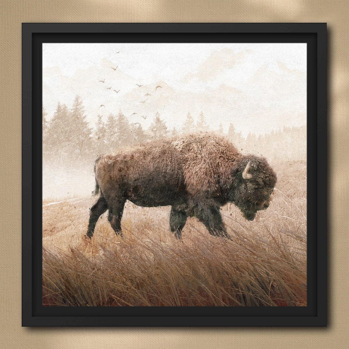 Personal-Prints art 24&quot;x24&quot; Float Framed Canvas Lone Buffalo