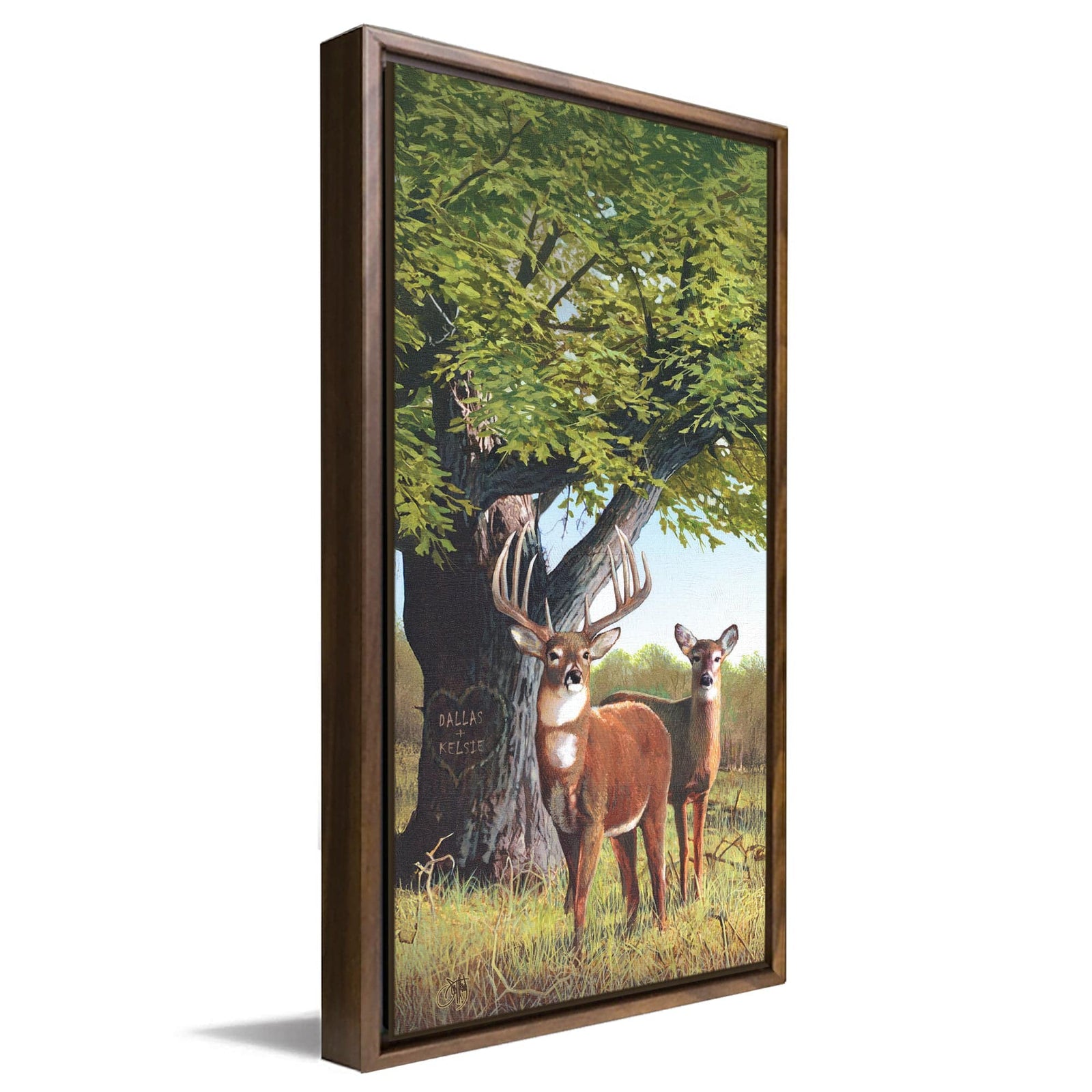 Personal-Prints art 16"x32" Float Framed Canvas Whitetail Afternoon