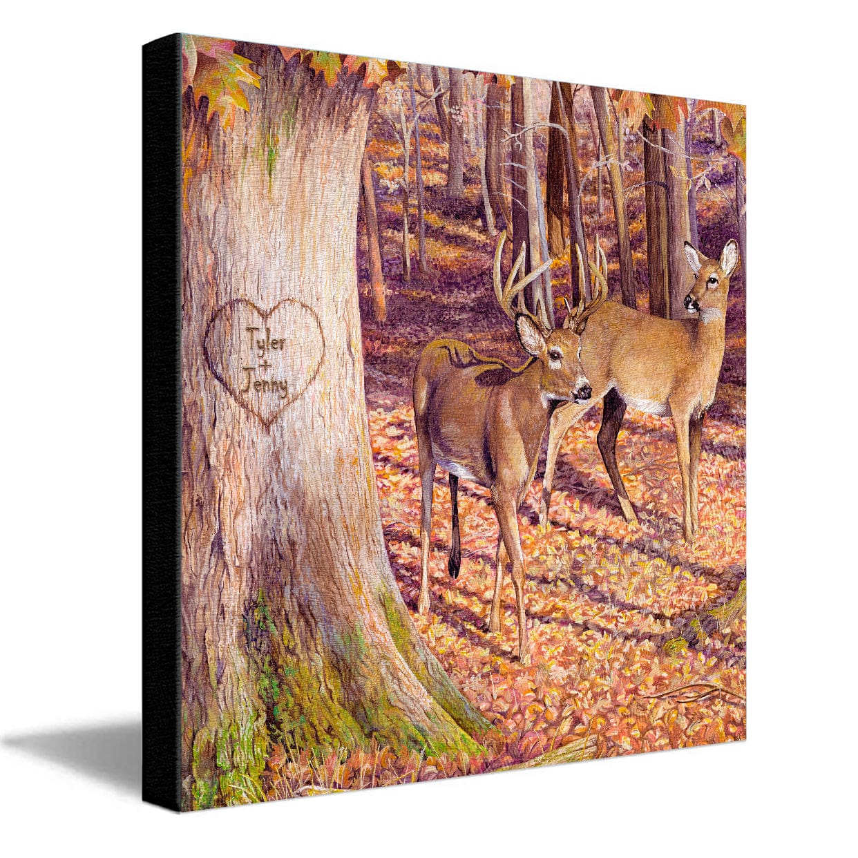 Personal-Prints art 16"x16" Stretched Canvas Whitetail Sunrise