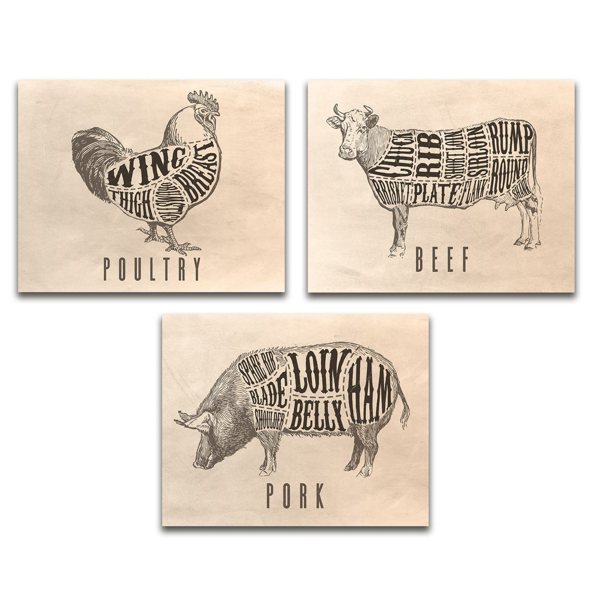 Beef Pork &amp; Poultry Butcher Cut Signs