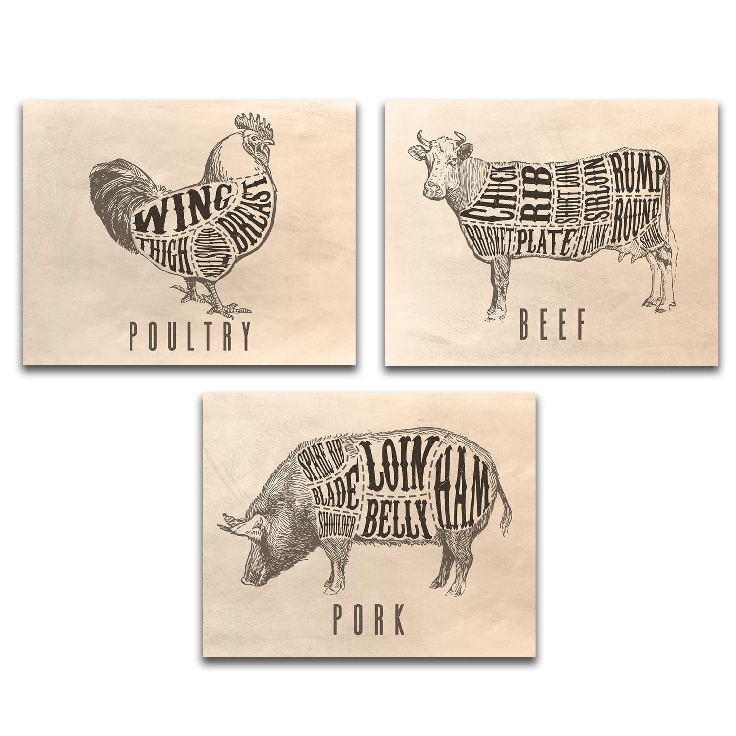 Beef Pork & Poultry Butcher Cut Signs