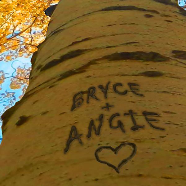 Detail of Aspen Tree Name Personalization