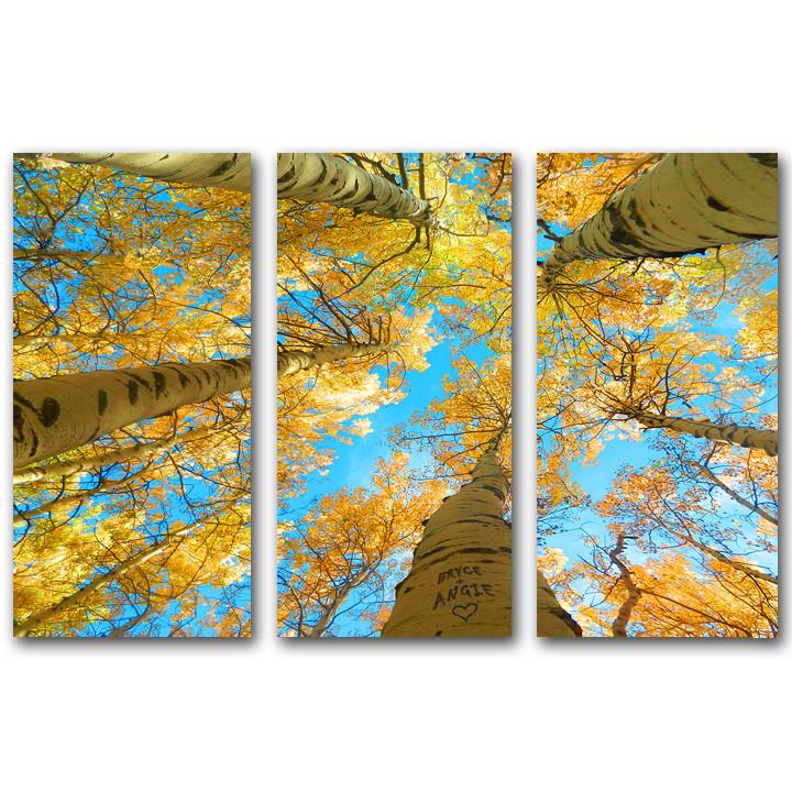 Three pieces of Aspen tree art looking up through yellow leaves to the sky - Personal-Prints