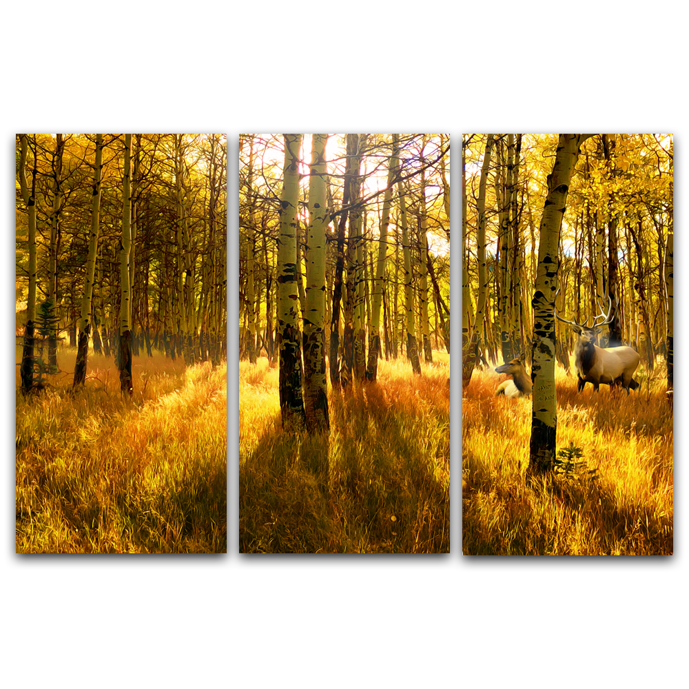 Golden Aspen Tree Sunrise Art Print Set