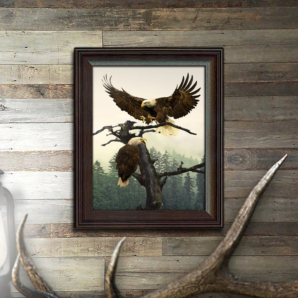 Framed Canvas Wildlife Bald Eagle Artwork