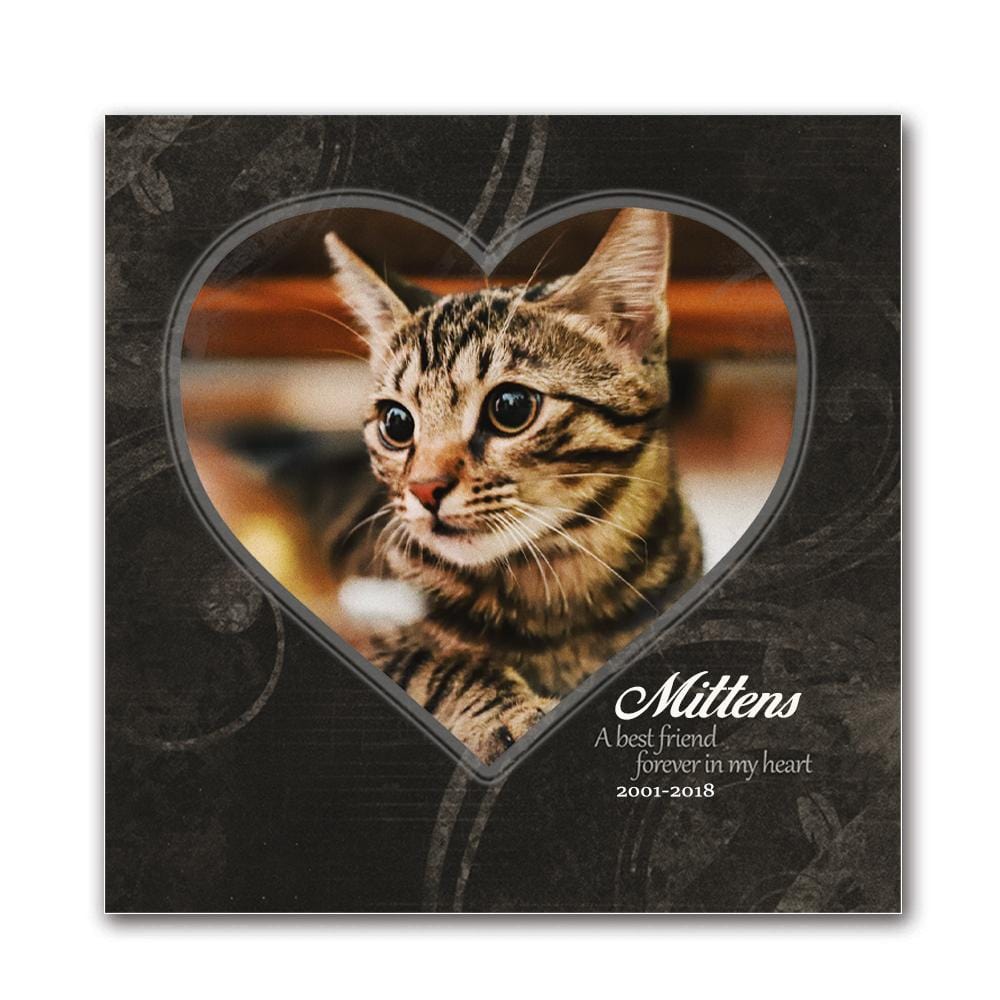 Personalized Pet Cat Portrait Memorial Print - Black Background