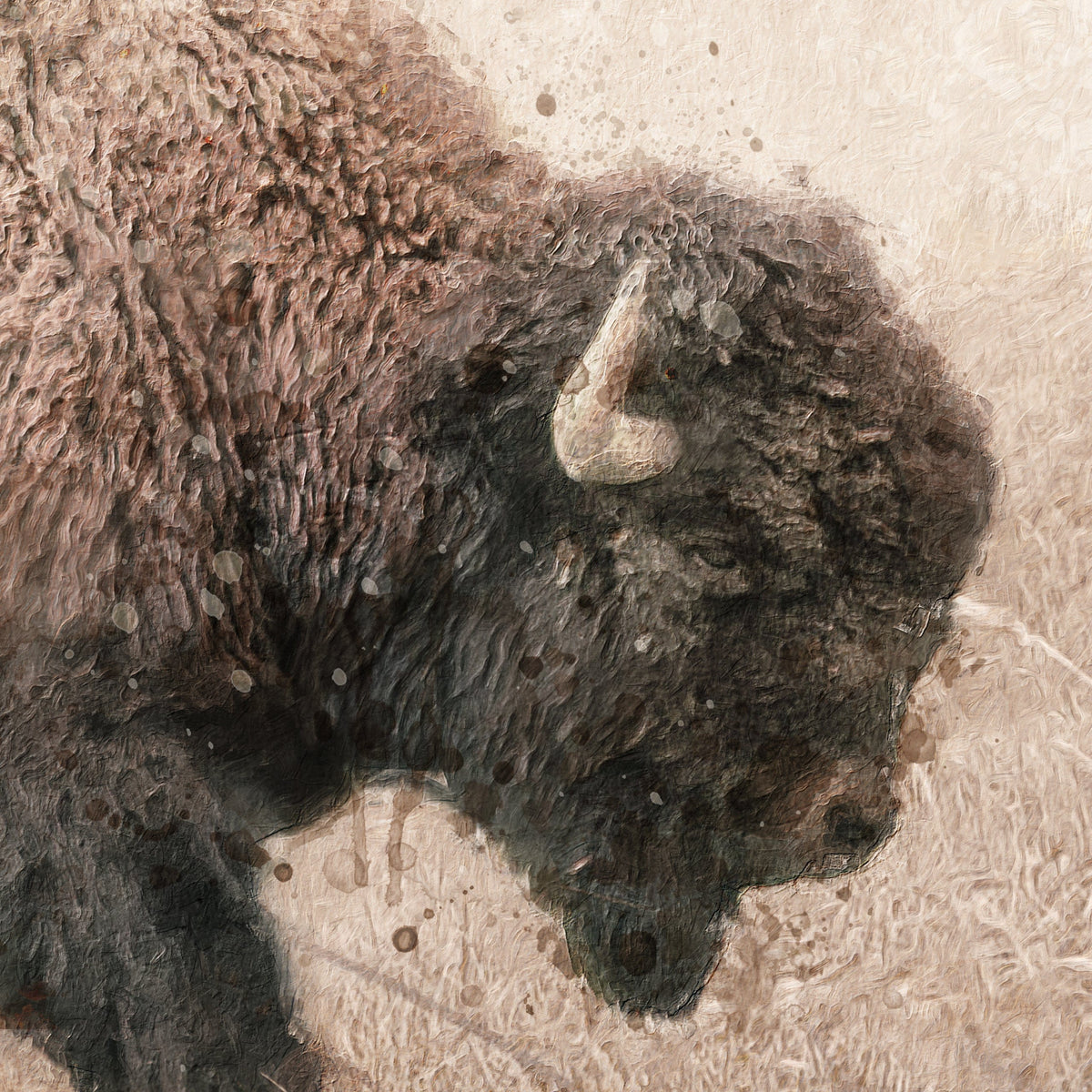 detail of bison artwork from personal prints