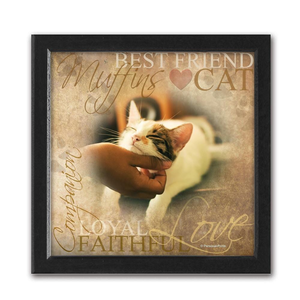 Personalized Pet Memorial - Cat Owner Gifts - Framed Canvas