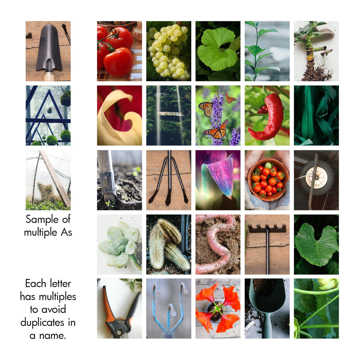 Garden photography alphabet