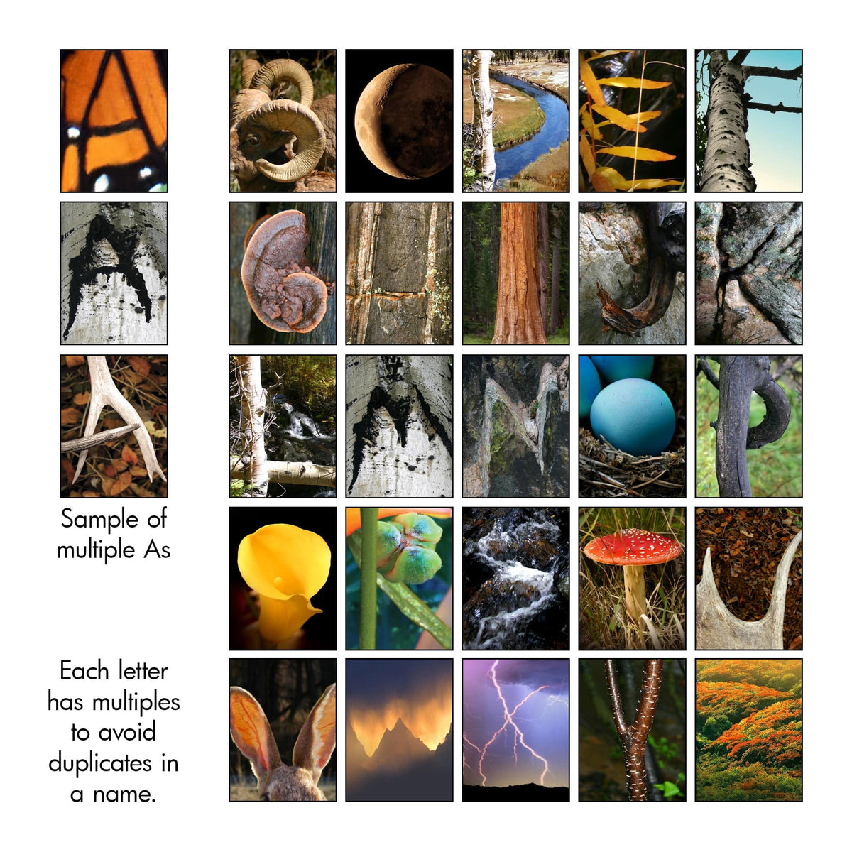 Nature Photos Personalized Name Art Alphabet