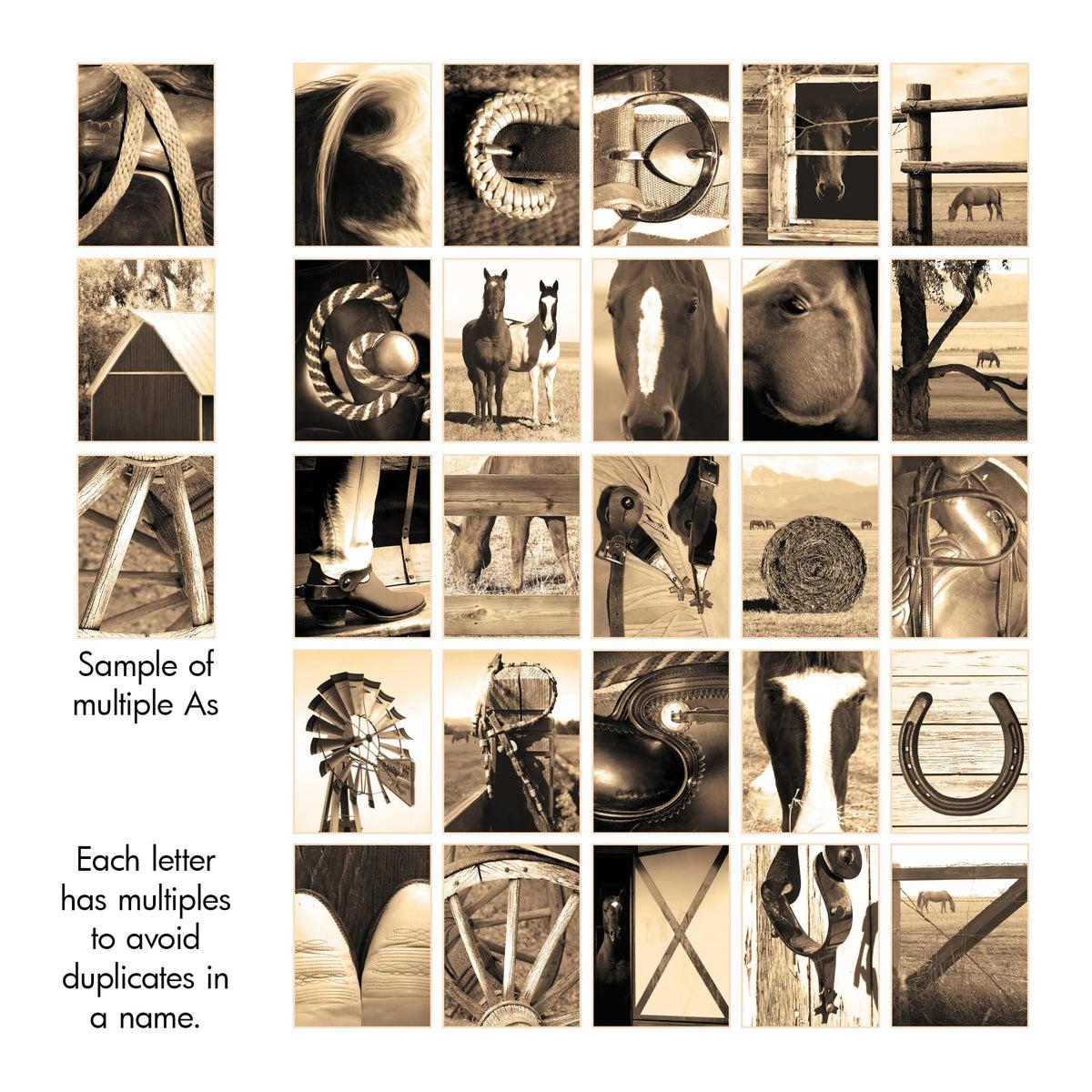 Horse theme photography alphabet. Multiple options for each letter to select from. 