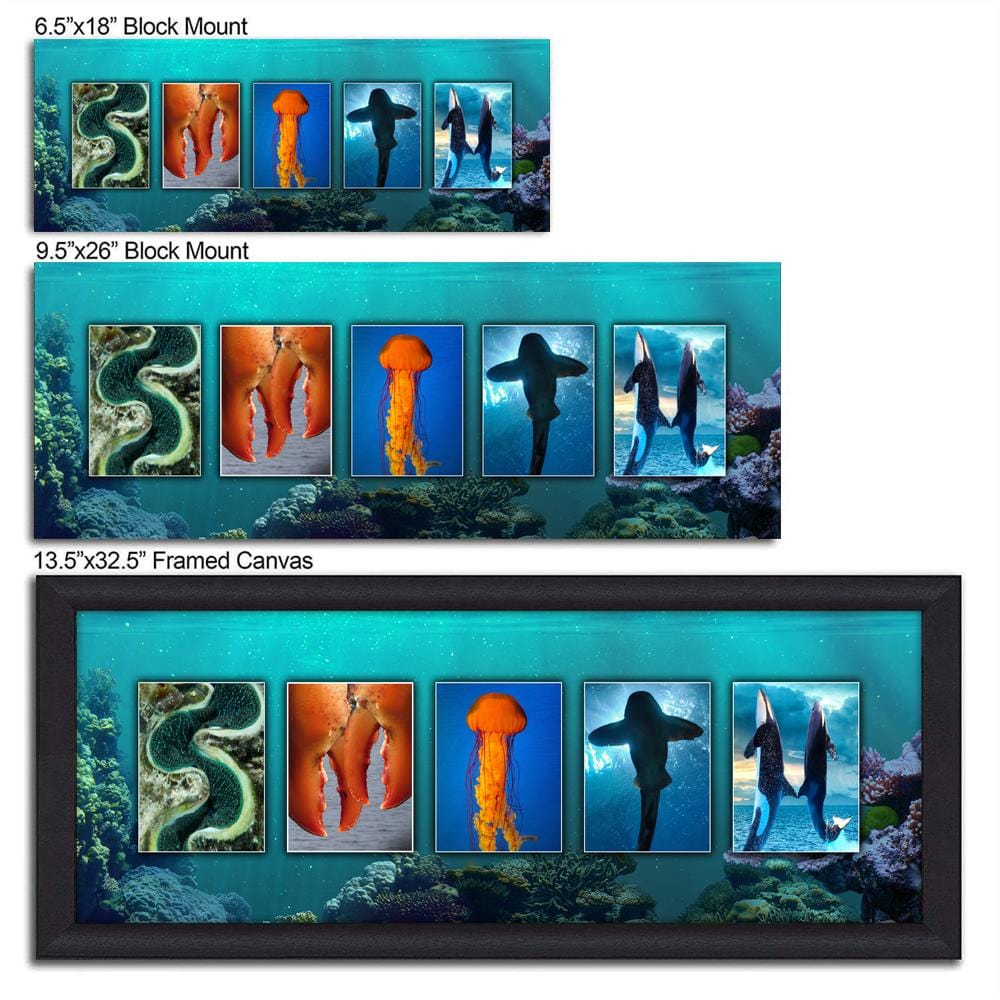Personal-Prints Marine Life Name Art Print. - Size Options