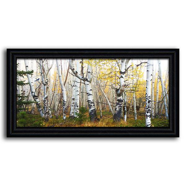 Aspen tree canvas art featuring a forest scene - Personal-Prints