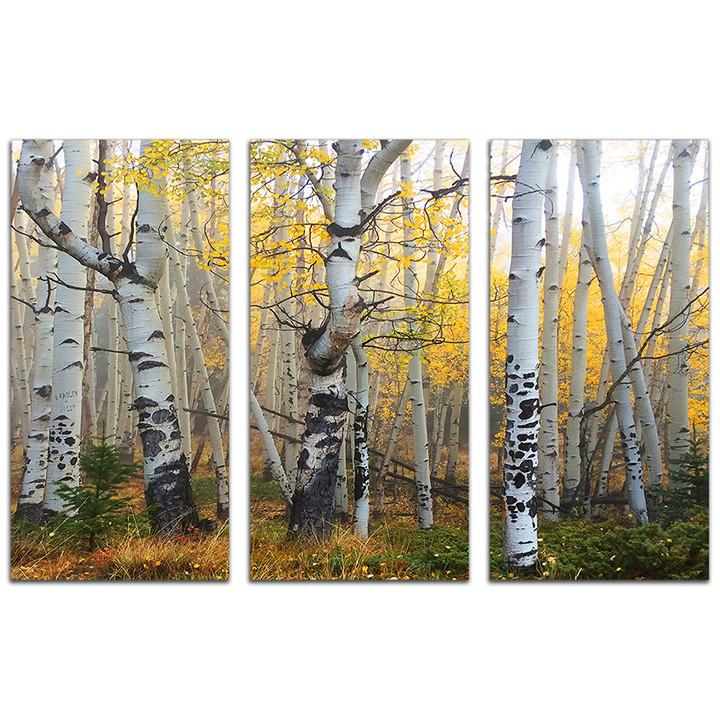 Aspen tree art that uses three panels to create a forest scene - Personal-Prints