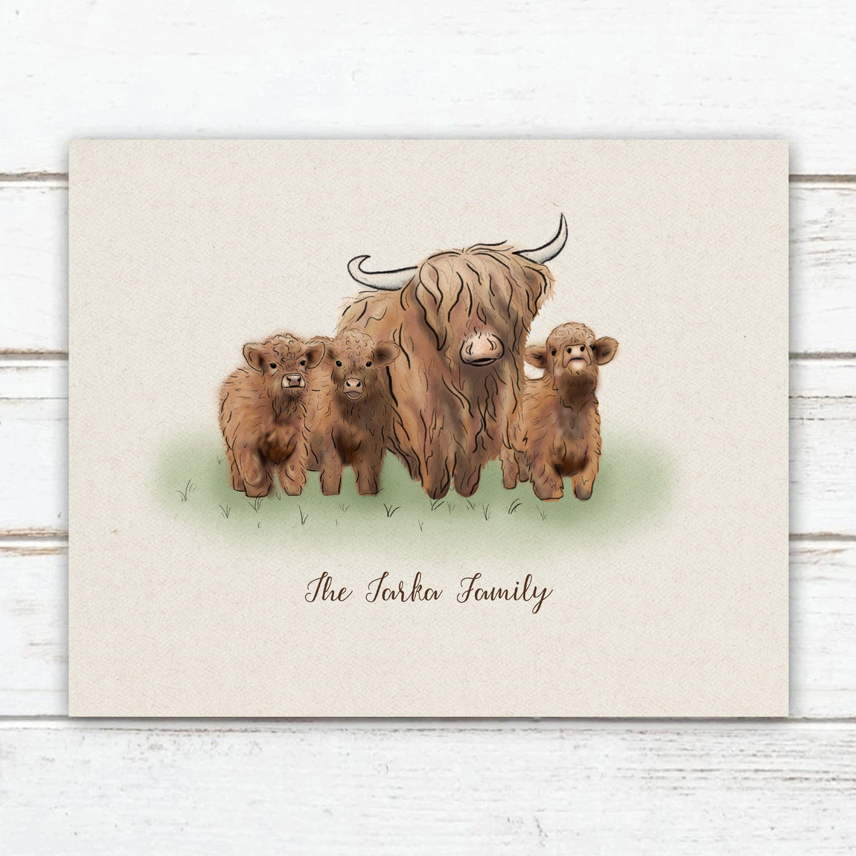 Wall Mounted Highland Cattle