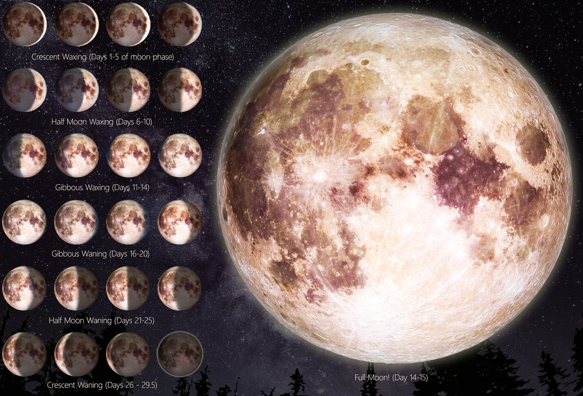 Moon phases chart