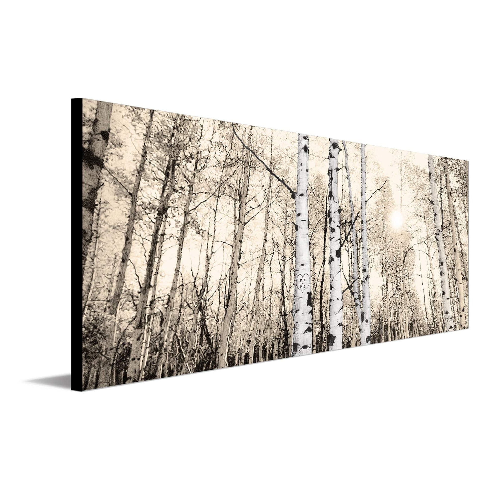 Black and white aspen tree art drawing from Personal-Prints