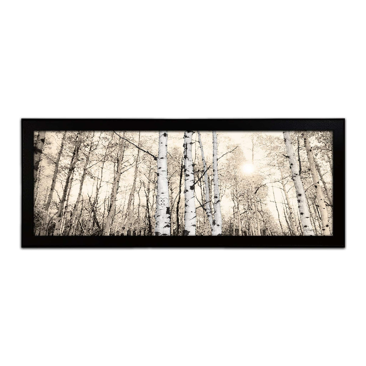 Black and white aspen tree canvas art from Personal-Prints