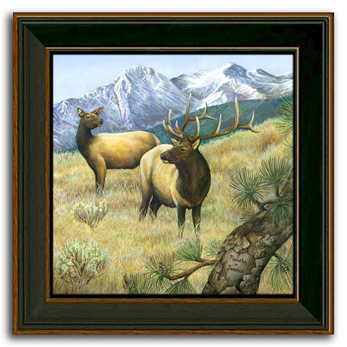A Royal Couple - Rocky mountain elk canvas art painting