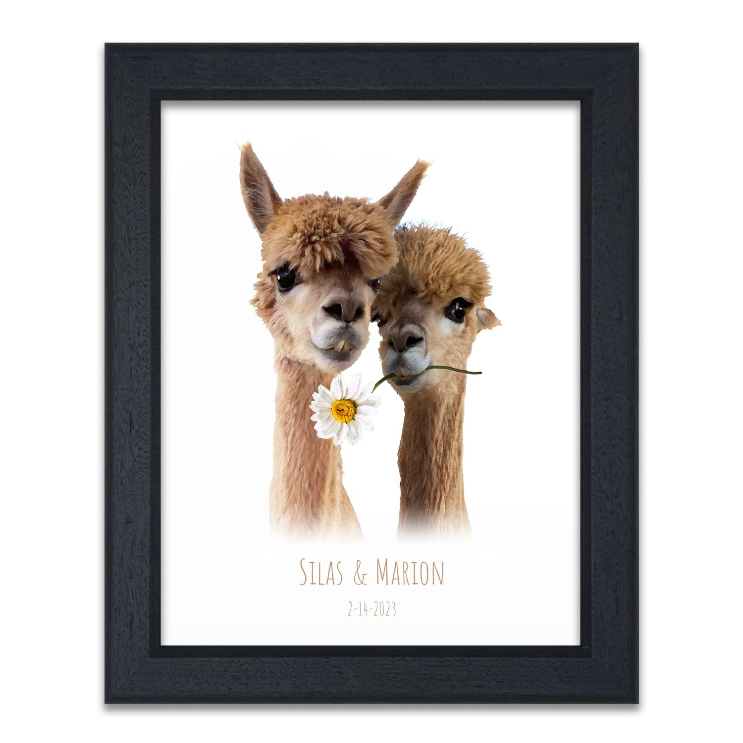 Llama gift - Happy Llamas personalized art from personal prints