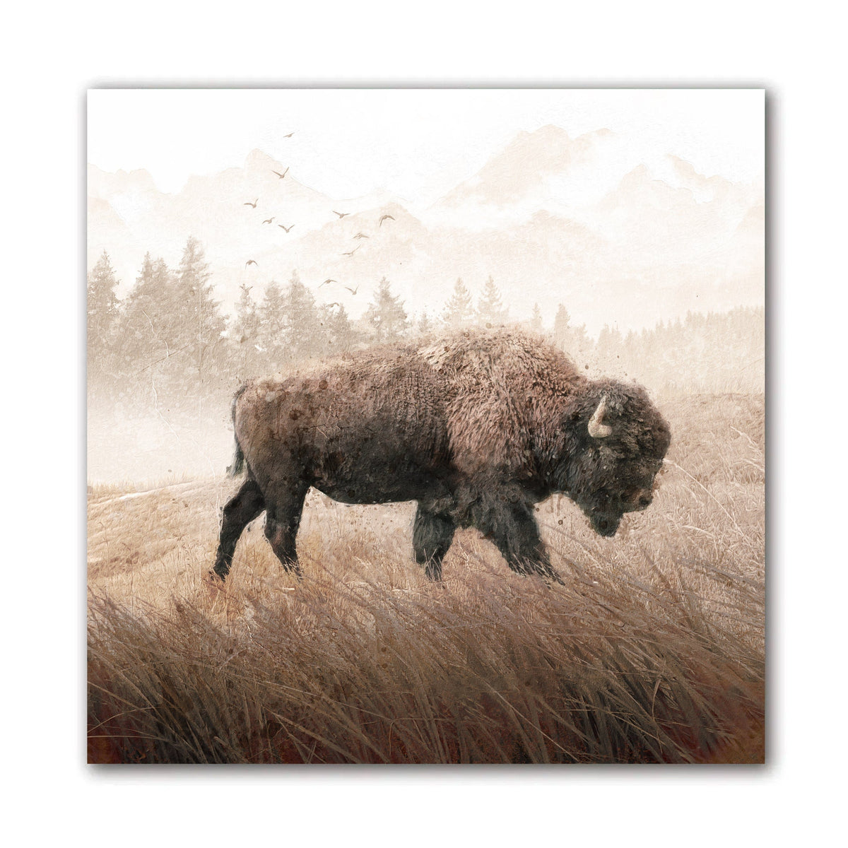 Lone Buffalo Art from artist Cody Johnson