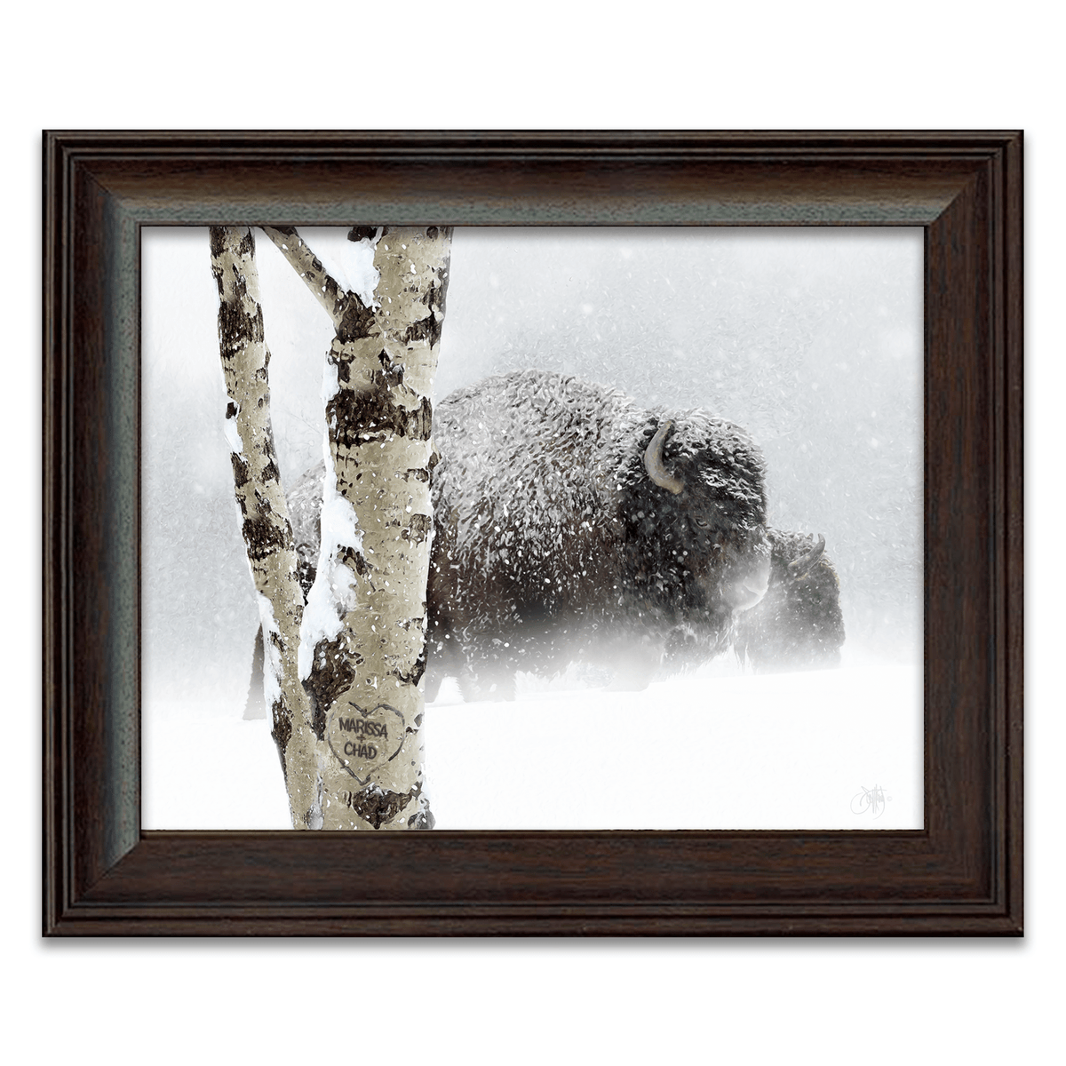 Personal-Prints art 12&quot;x15&quot; Framed Under Glass Aspen Bison