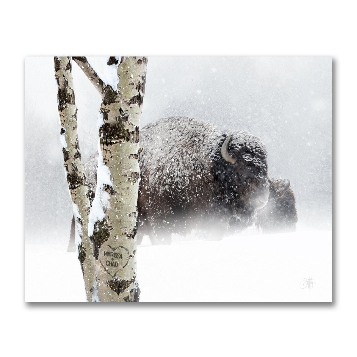 Personal-Prints art 11&quot;x14&quot; Block Mount Aspen Bison