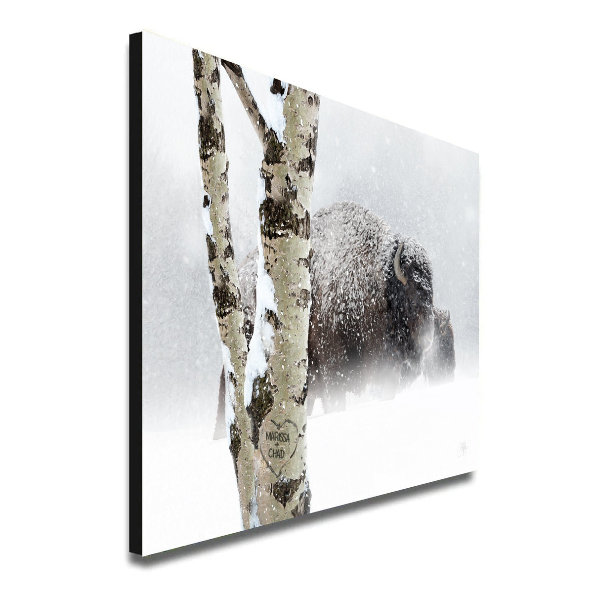 Personal-Prints art Aspen Bison