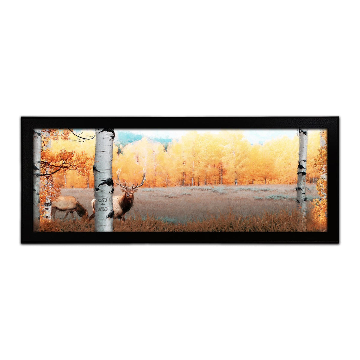 Personal-Prints art 13.5&quot;x32.5&quot; Framed Canvas Autumn Splendor