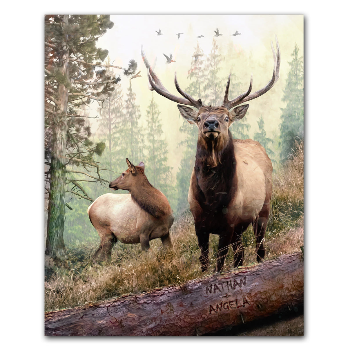 Personal-Prints art 11&quot;x14&quot; Block Mount Back Country Elk Couple