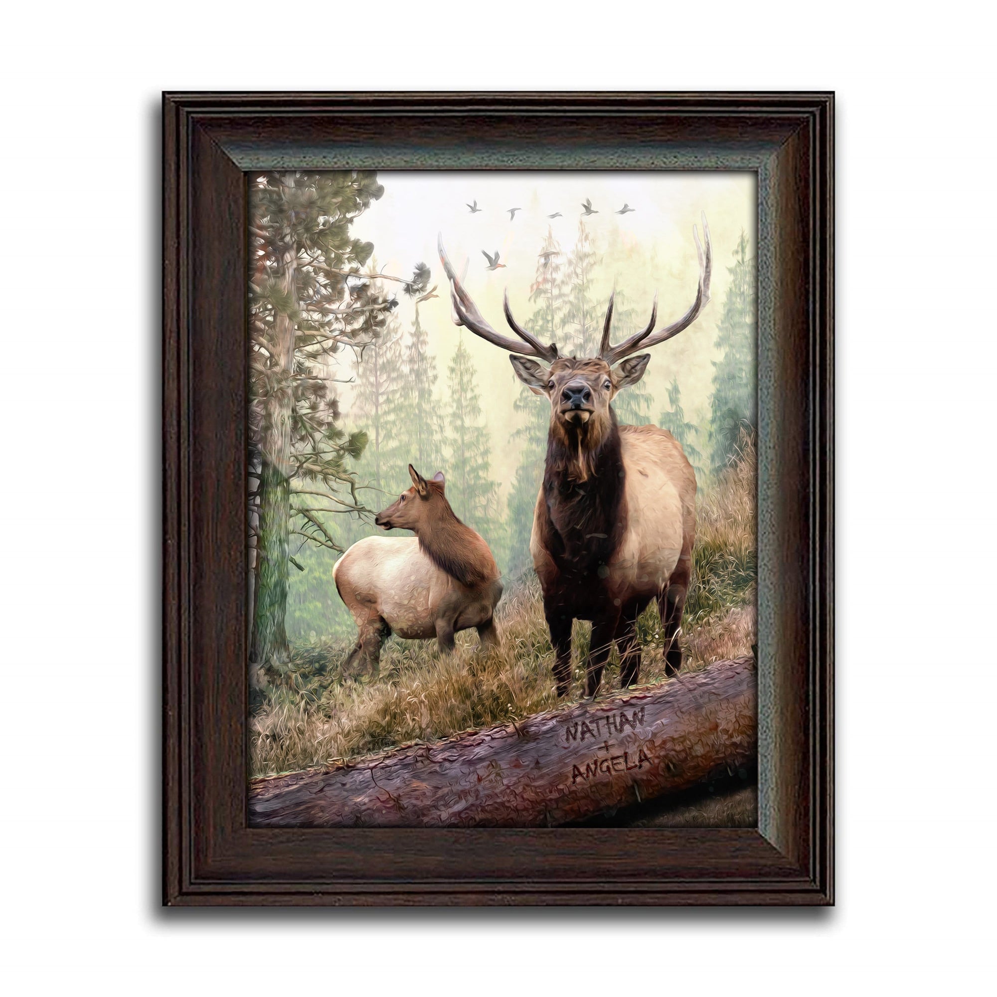 Personal-Prints art 14"x17" Under Glass Back Country Elk Couple