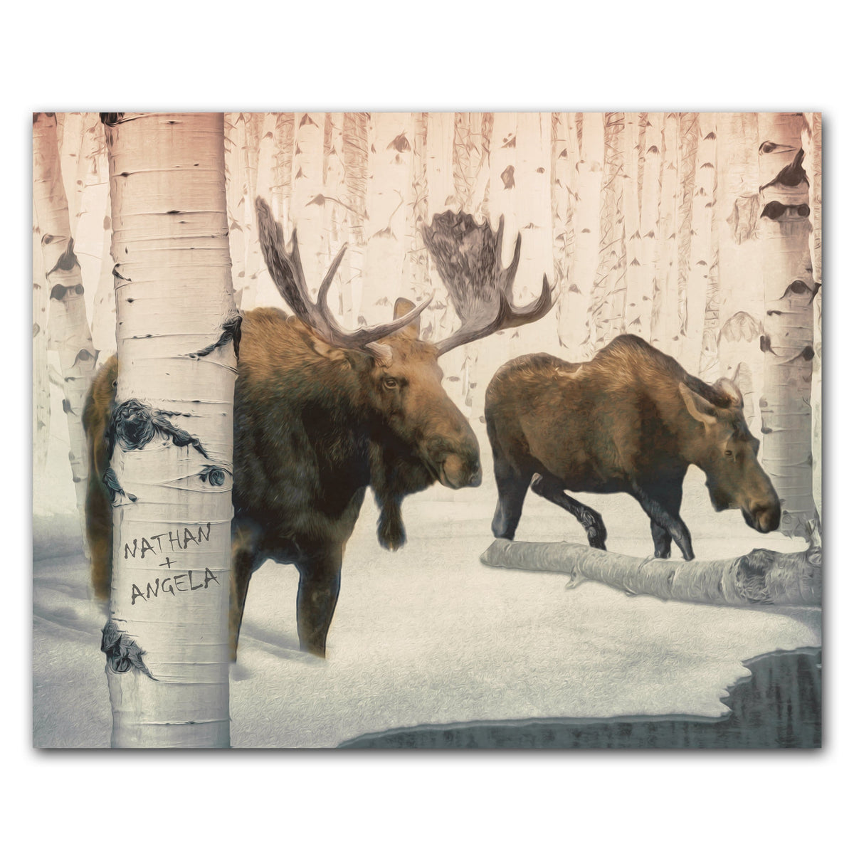 Personal-Prints art 11&quot;x14&quot; Block Mount Back Country Moose Couple