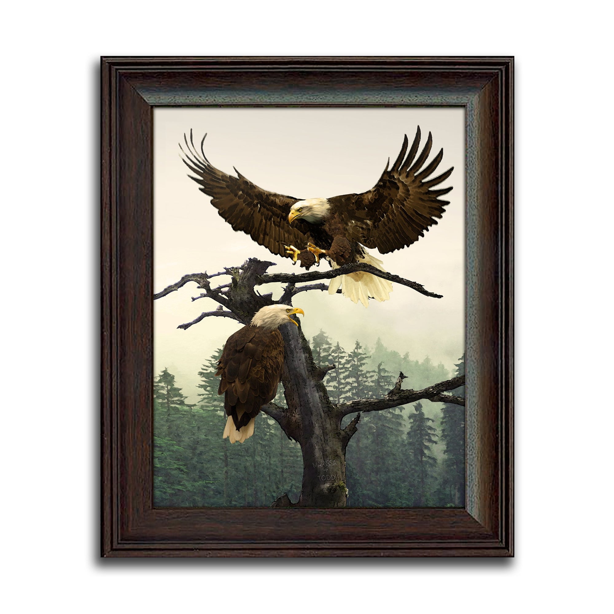 Personal-Prints art 14"x17" Under Glass Bald Eagle Couple