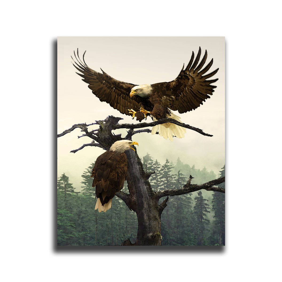 Personal-Prints art 11&quot;x14&quot; Block Mount Bald Eagle Couple