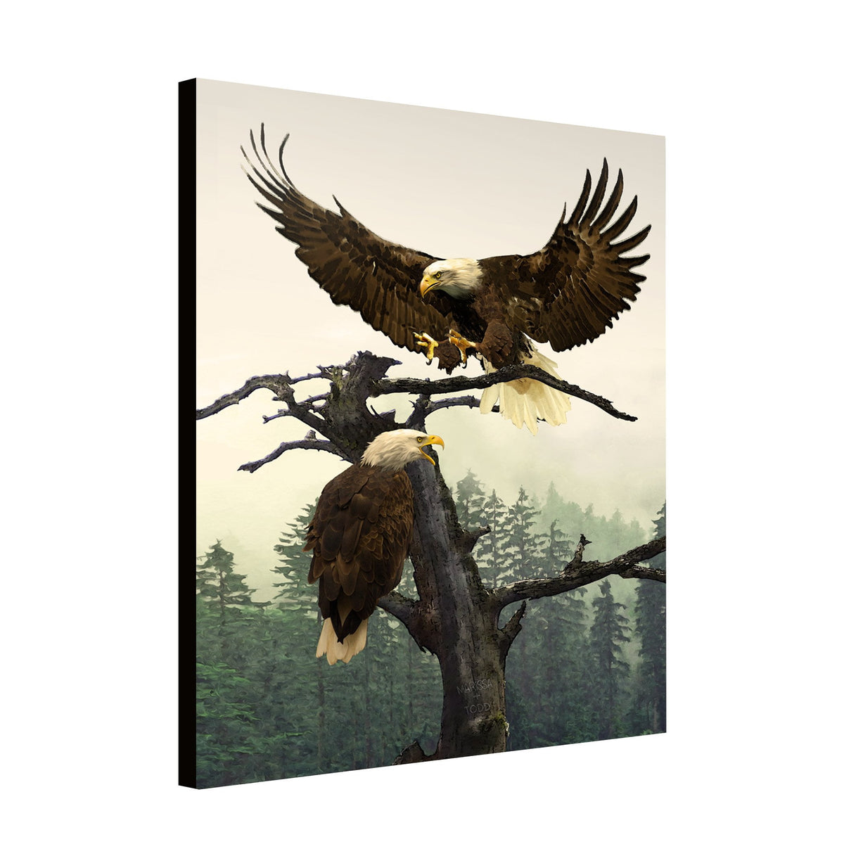 Personal-Prints art Bald Eagle Couple