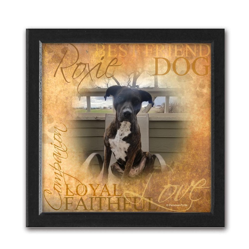 Personal-Prints art 15&quot;x15&quot; Canvas (Dark Espresso Frame) Dog - Pet Photo Art