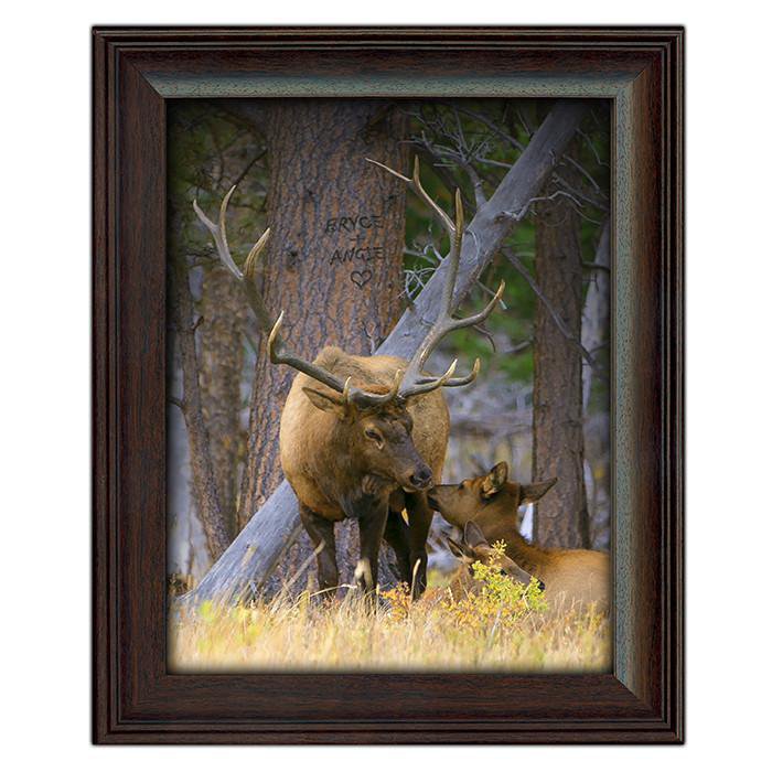 Personal-Prints art 14"x17" Under Glass Elk Couple