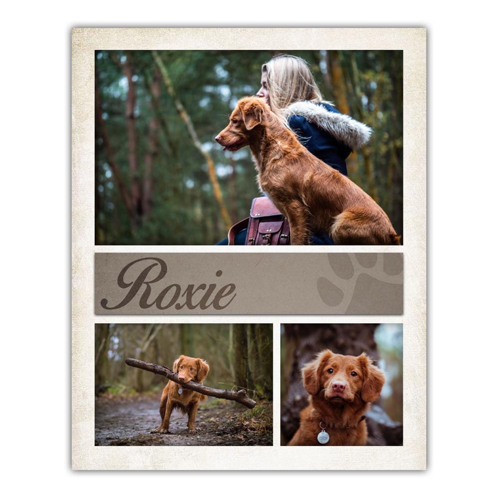 Personal-Prints art Furry Friend Photo Art